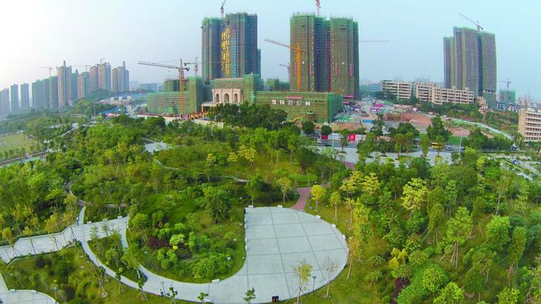 高明杨和镇楼盘