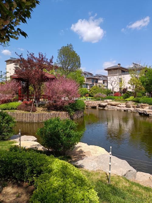 莒县哪里的楼盘好