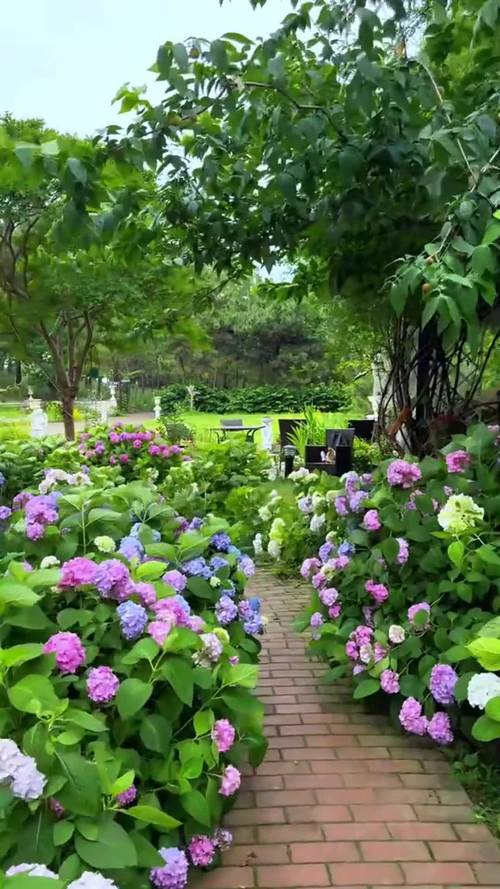 上海后花园是哪里