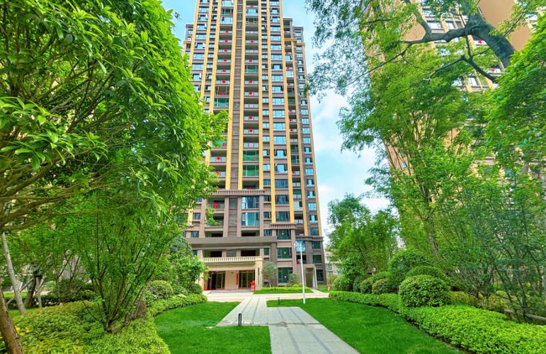 中江新楼盘房价现房