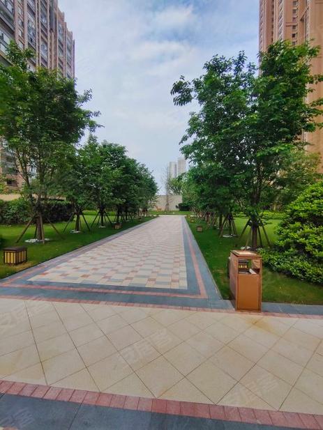 江西信丰最好的楼盘