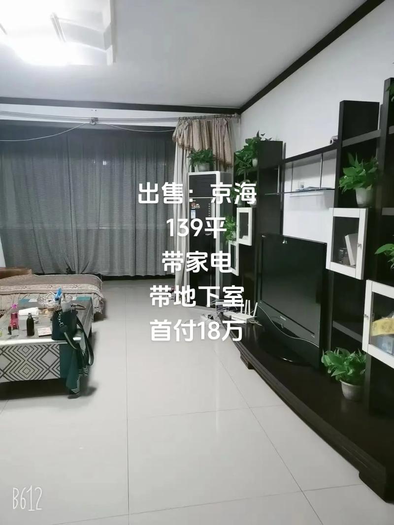 京海花园二手房价格