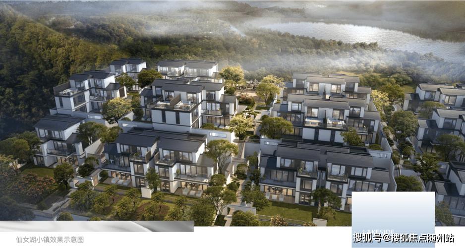 萧山戴村新楼盘