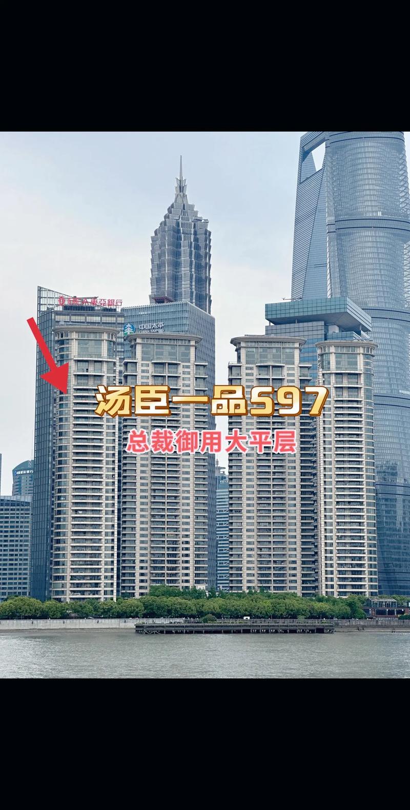 浦东汤臣一品房价