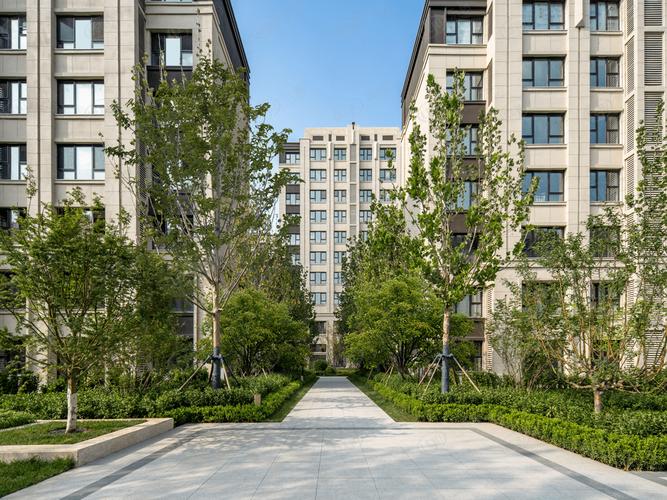 天津东丽新楼盘