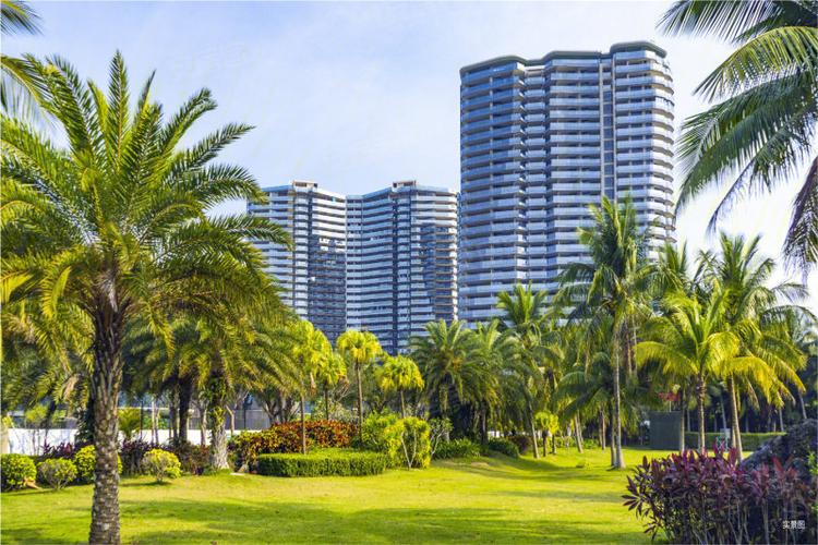 博鳌金湾楼盘 垃圾