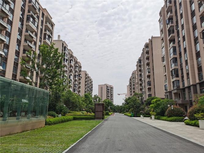 衢州西区哪个楼盘好