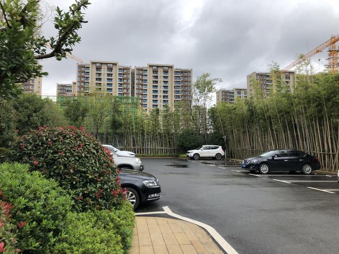 阳逻金茂悦房价