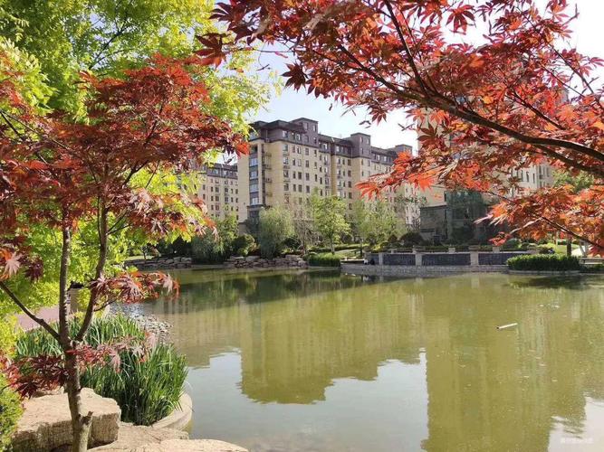 郯城星空喜园房价