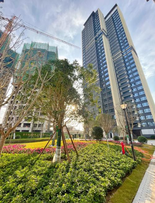 江油有那些新楼盘