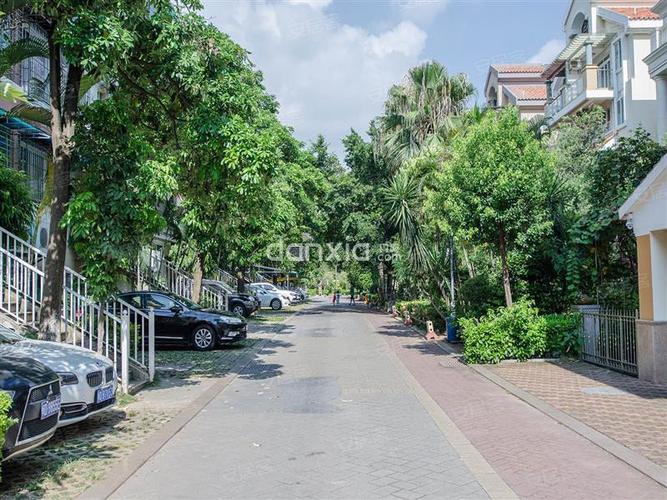 厦门国际山庄房价