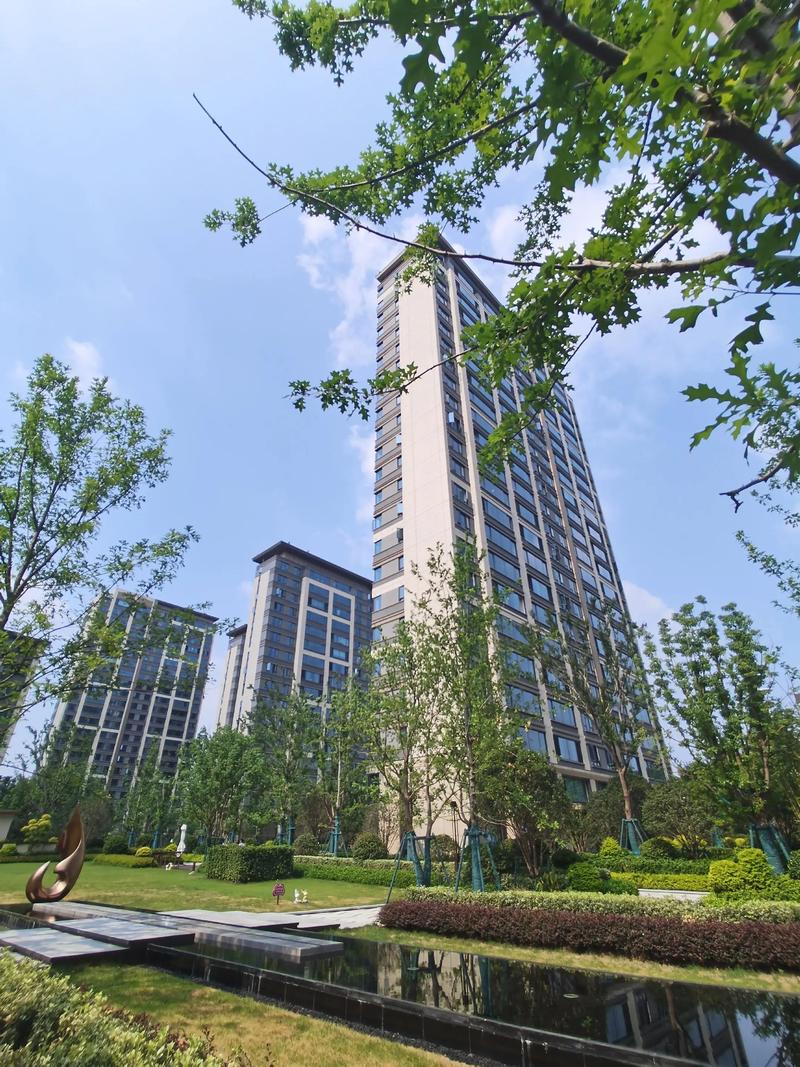 四新楼盘最新动态