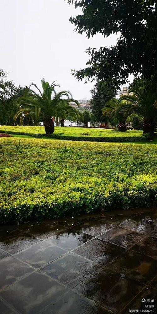 腾冲城市花园