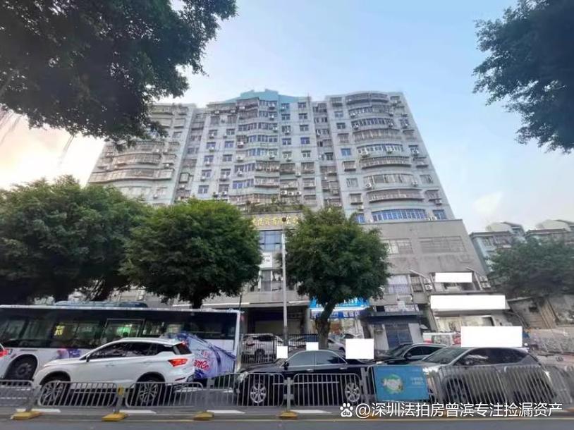 深圳布吉金沙花园