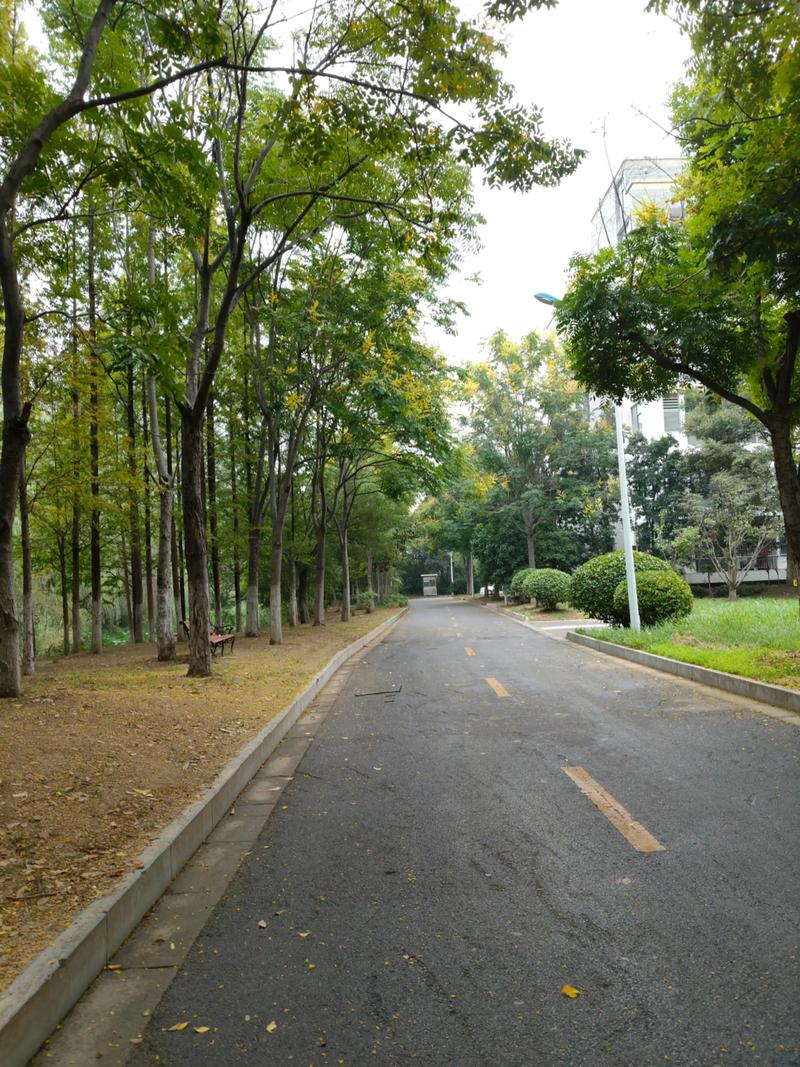 发展大道二七花园