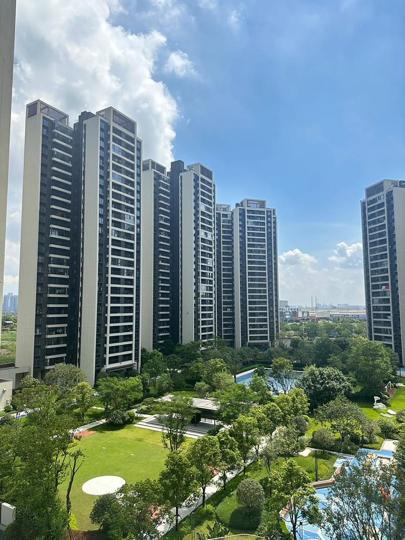 佛山乐从新楼盘