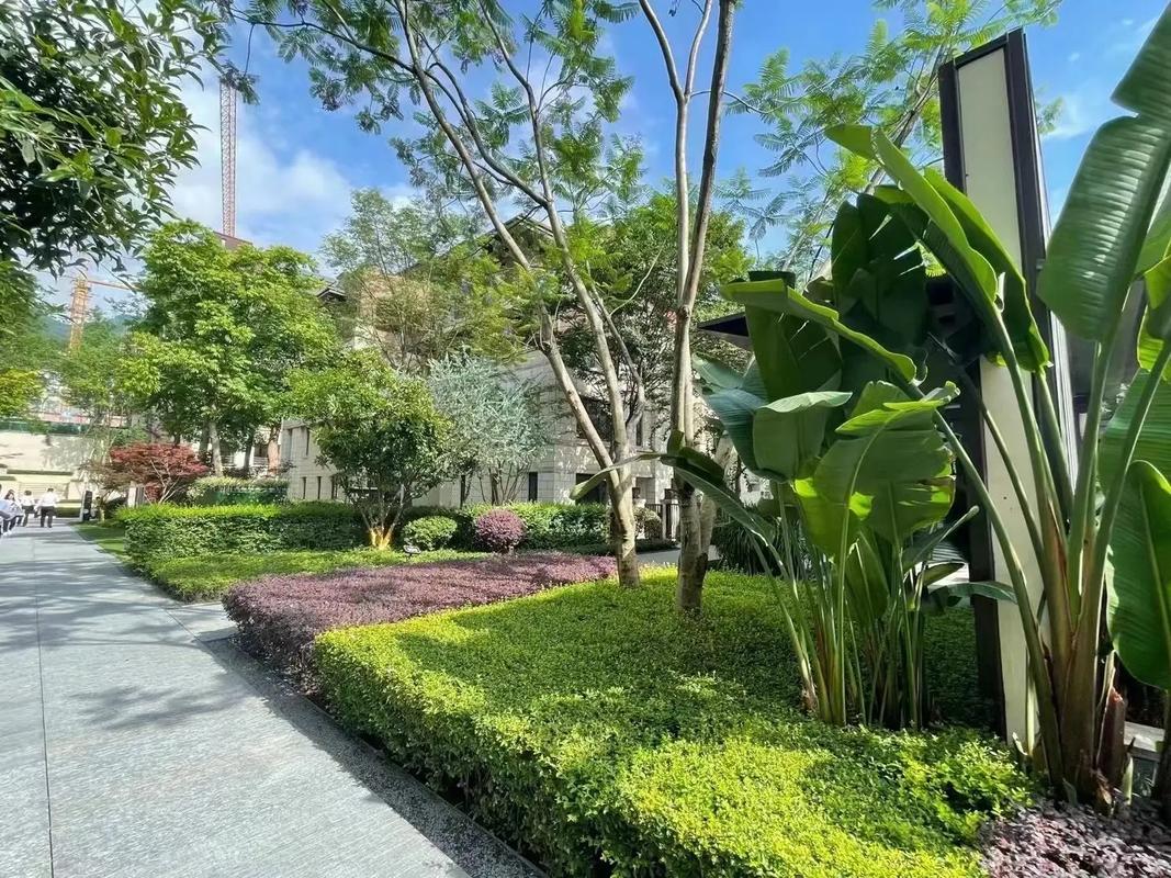 沙坪坝磁器口楼盘