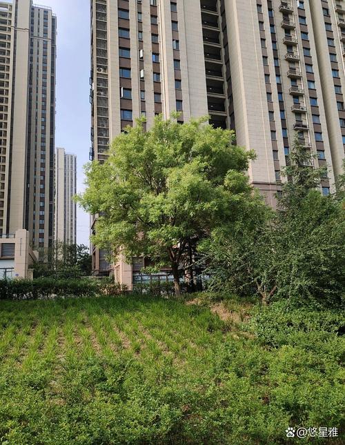 蕲春中天国际楼盘