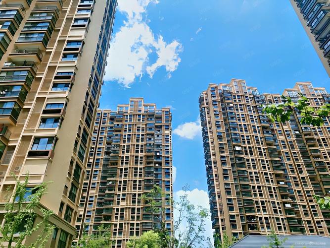 南山维拉最新房价