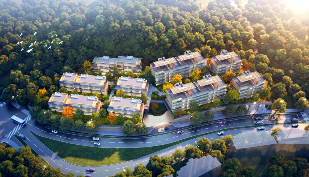 杭州良渚文化村房价