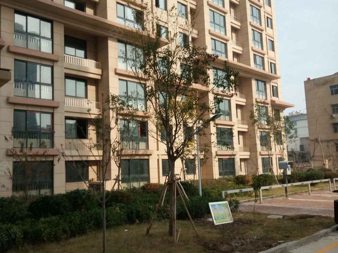 高邑新楼盘现房出售