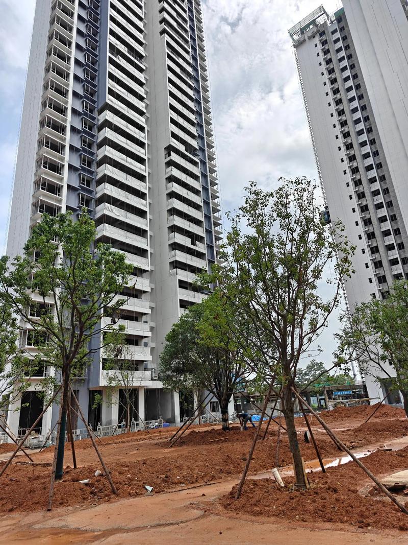 来宾最危险的楼盘