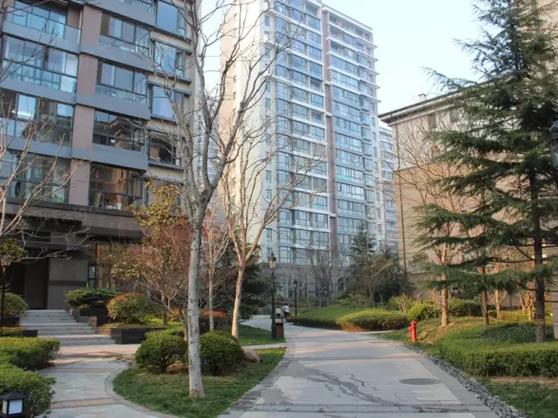 青岛麦岛金岸房价