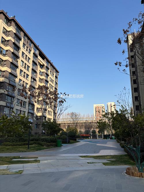 合肥新楼盘现房出售