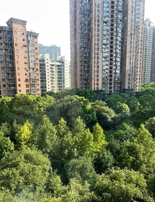 歙县滨河花园小区