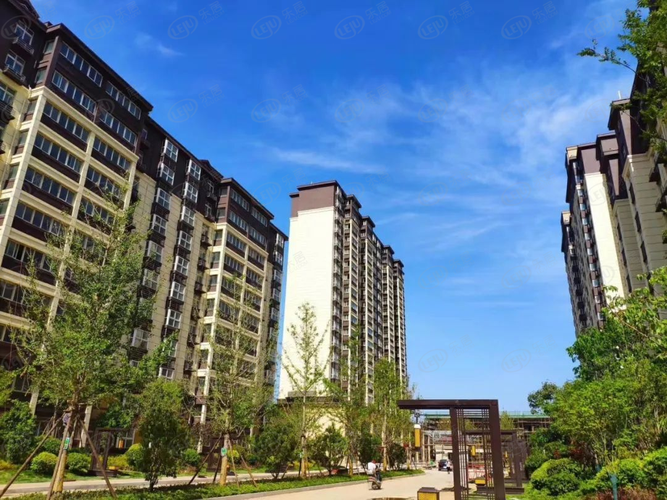 河南安阳滑县房价