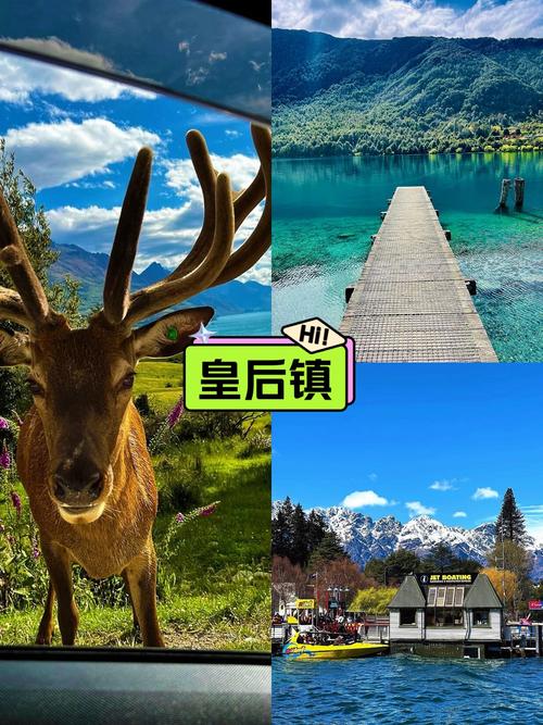 新西兰皇后镇房价