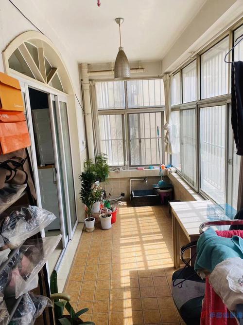 张店金都花园位置