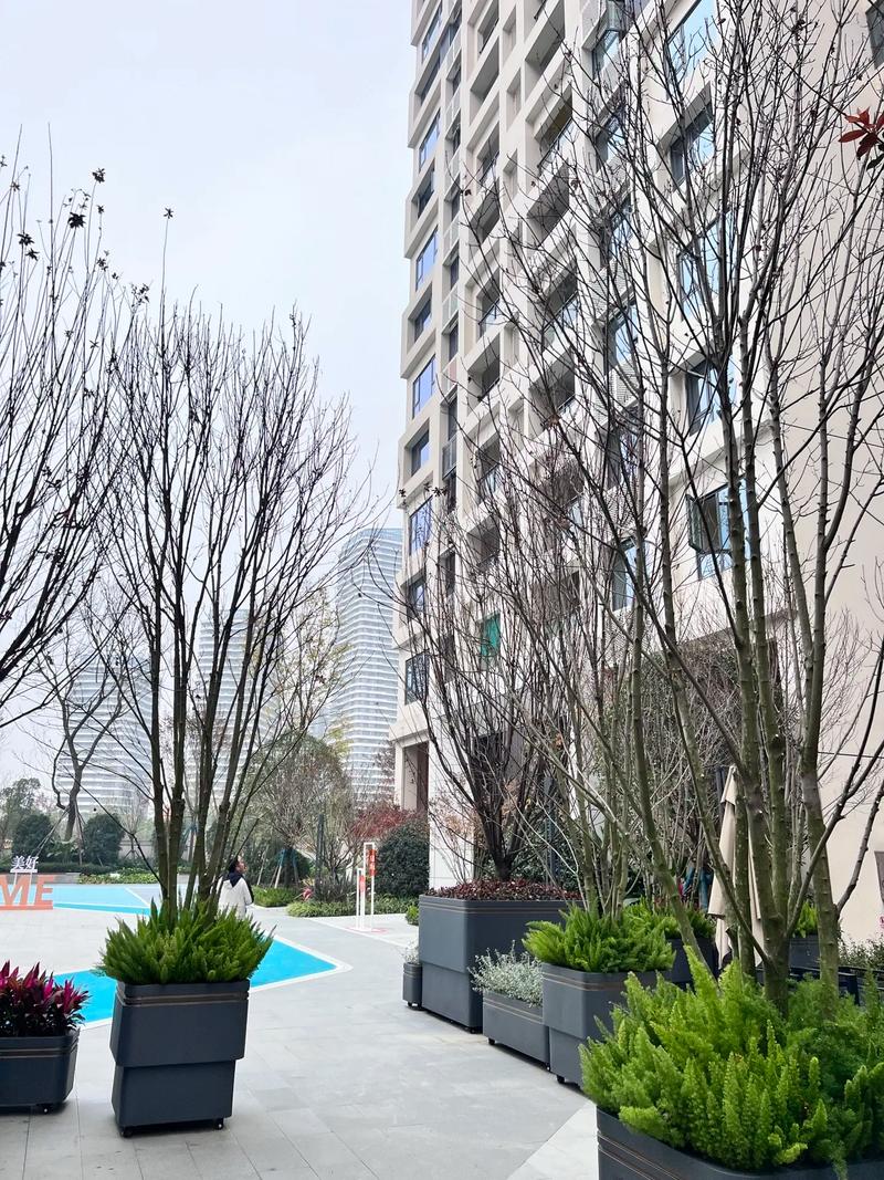 永川兴龙湖周边楼盘