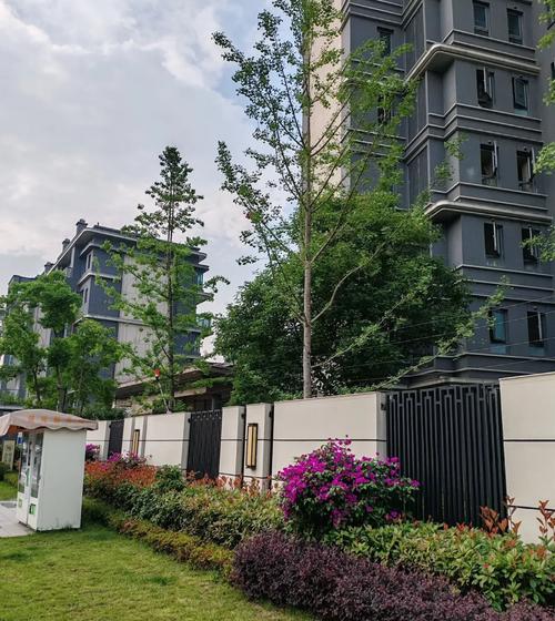 成都中和银都楼盘