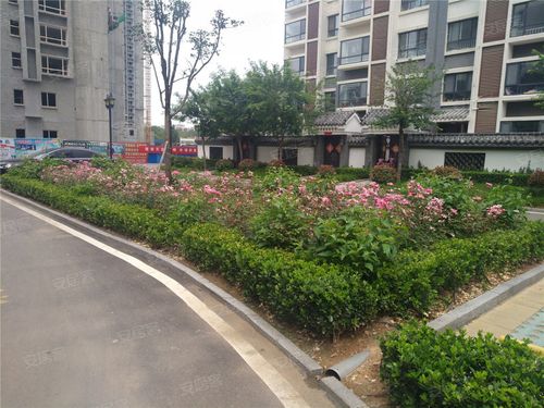 肥城新楼盘顶账房