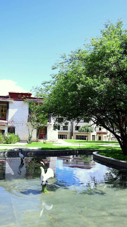 拉萨在售新楼盘