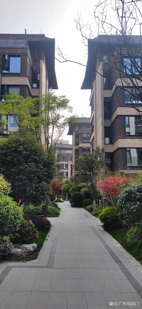 三道堰新开楼盘