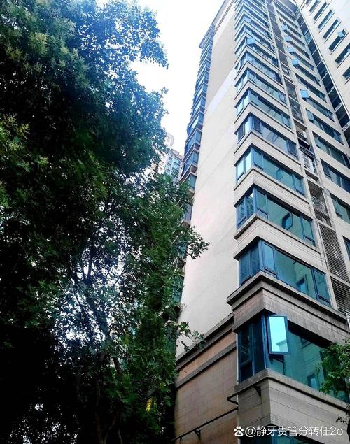 三道堰新开楼盘