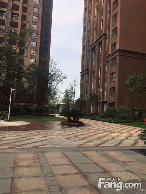 成都新都大丰新楼盘