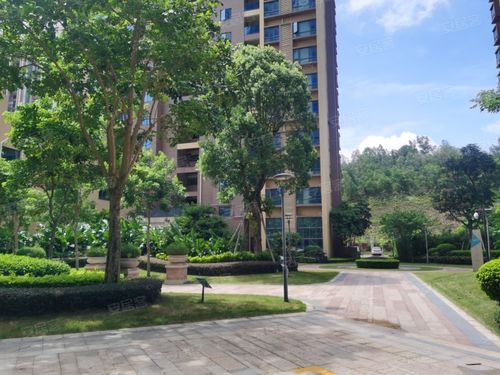 中山水木年华楼盘