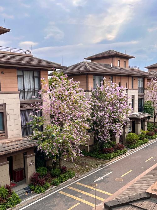 昭通茶花蒂斯楼盘