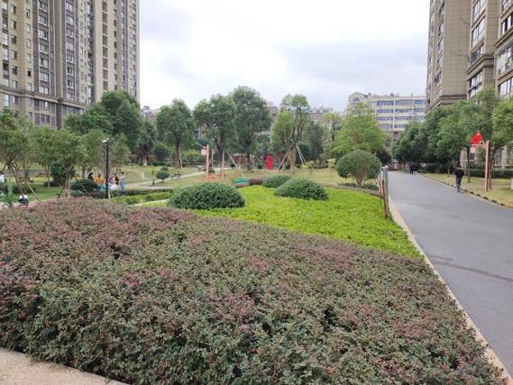 鹰潭书香公馆楼盘信息