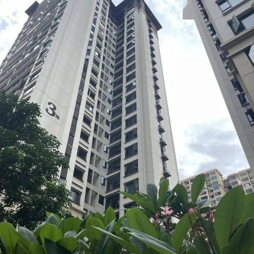 都安哪个楼盘比较便宜