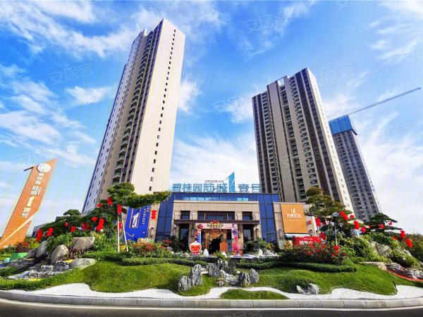 陆丰楼盘开盘