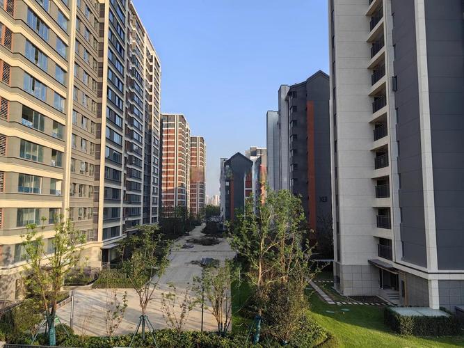 合肥新站区新楼盘