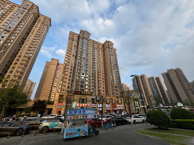 新津丽都佳苑楼盘