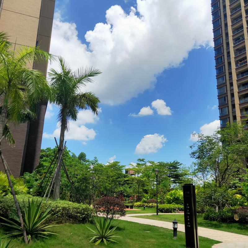 惠阳中心区楼盘