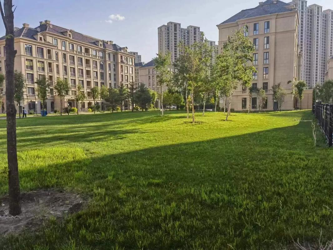 库尔勒伟达学府楼盘