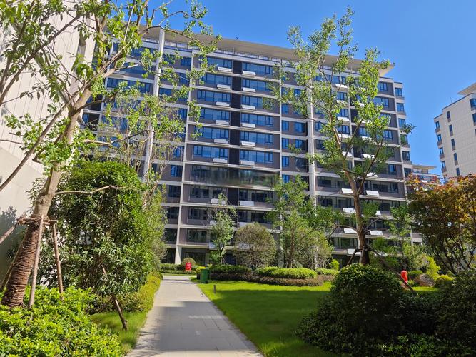 新站区最新楼盘