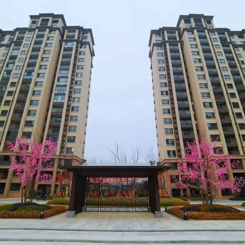 东兰新楼盘出售